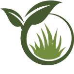 Strive Orchid Planting