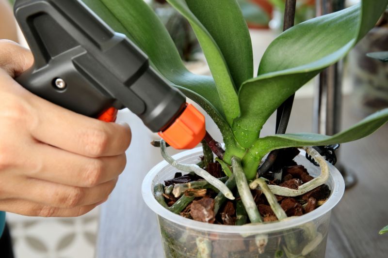 Orchid Planting